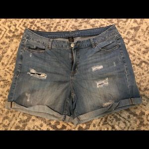 Lane Bryant Weekend Shorts